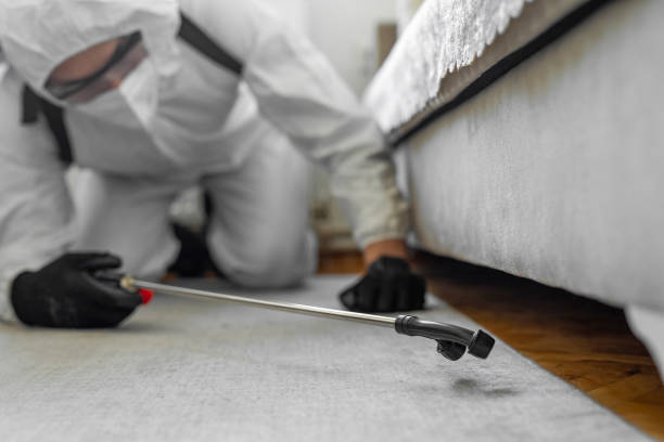 Professional Termite Control technician working in Gaston County County, NC